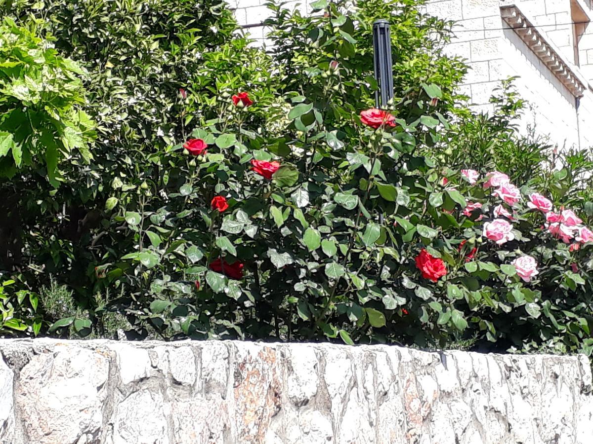 Apartments Jelen Dubrovnik Kültér fotó